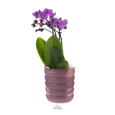 Maceta ONDAS 12,5 cm- Rosa Pastel