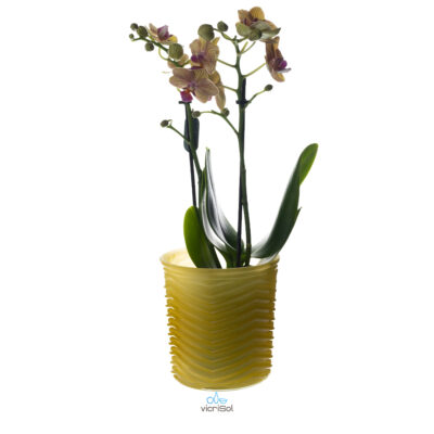 Maceta ZIG ZAG 12,5 cm- Amarillo Pastel