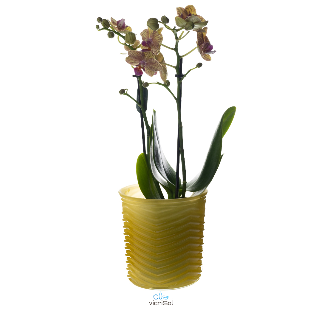 Maceta ZIG ZAG 12,5 cm- Amarillo Pastel