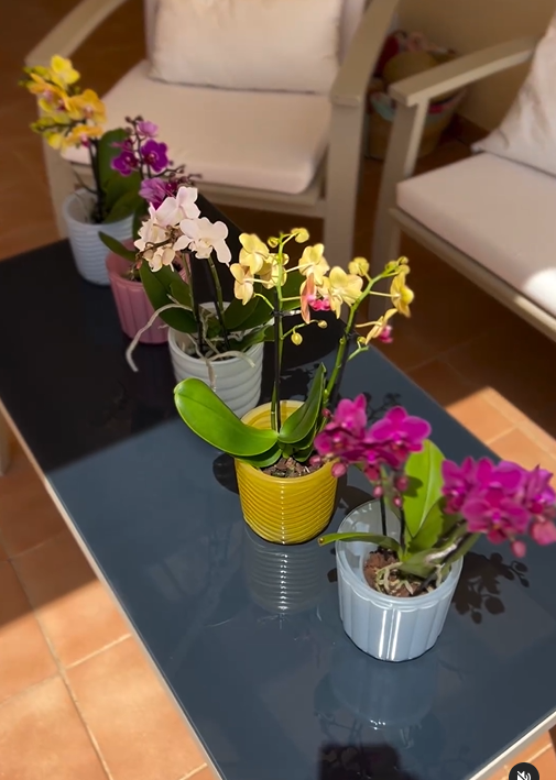 Maceta CÓRDOBA 12,5 cm- Rosa Pastel - Imagen 4