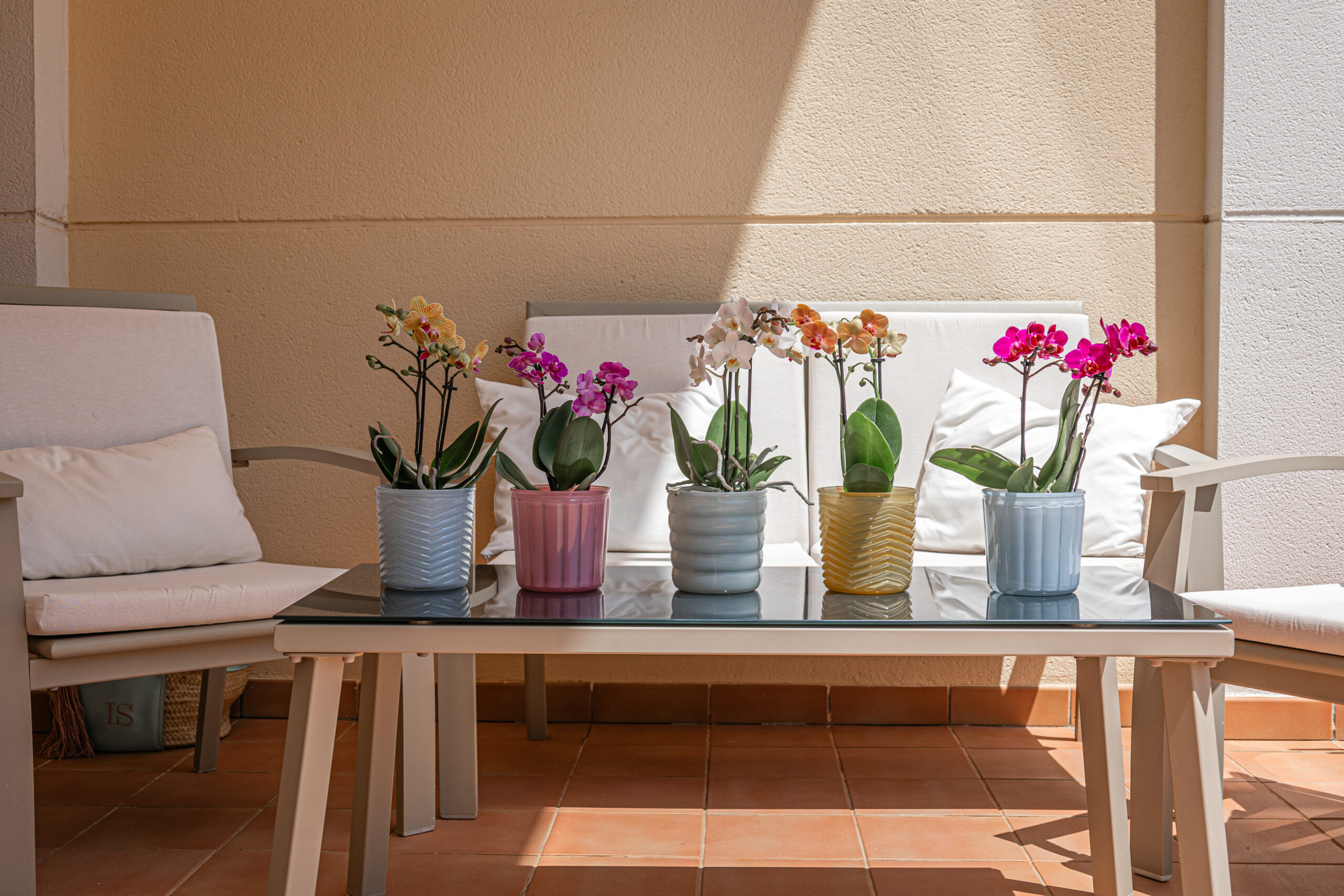 MIX 6 Macetas 12,5 cm- Colores Variados.