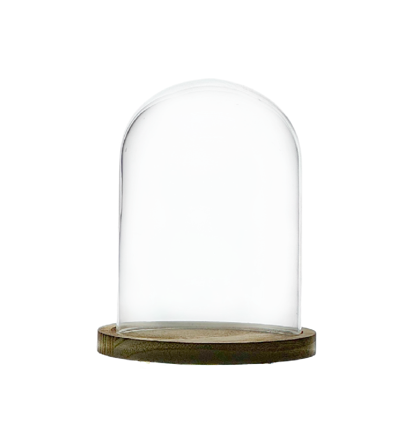 CÚPULA 14x10 cm- Base Madera
