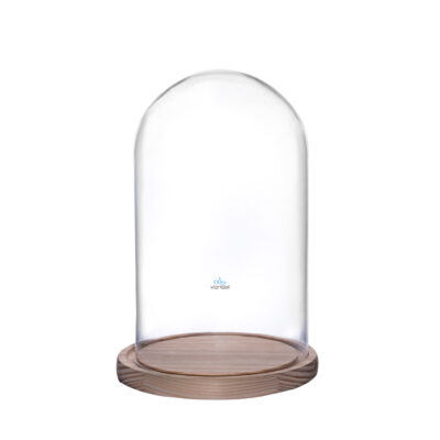 Cúpula 25x15 cm con Base Madera