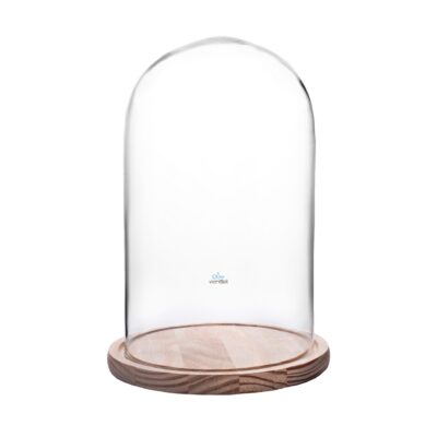 Cúpula 31x18 cm con Base Madera