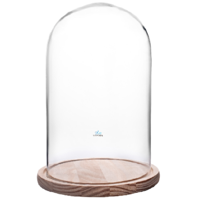 Cúpula Roma 40x20 base madera