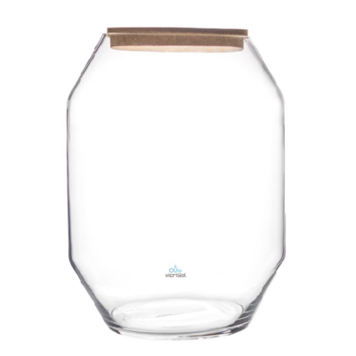 Terrario NIKKO 40 cm con Tapa de Corcho