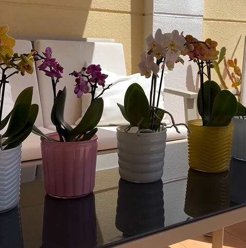 Maceta CÓRDOBA 12,5 cm- Verde Pastel - Imagen 5