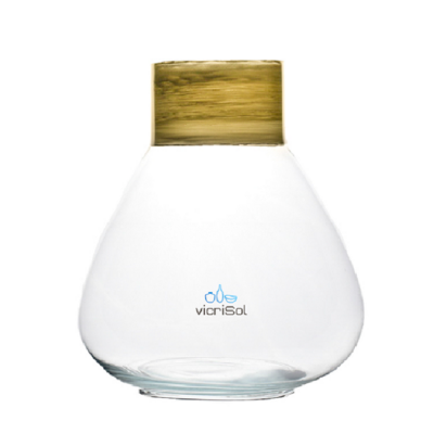 Florero TONY 22 cm - Borde Dorado