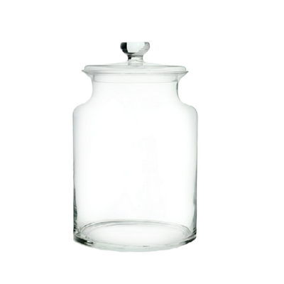 Florero Terrario MERY 25 cm- Tapa vidrio