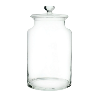 Florero Terrario MERY 30 cm- Tapa vidrio