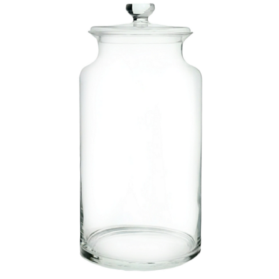 Florero Terrario MERY 40 cm-Tapa Vidrio