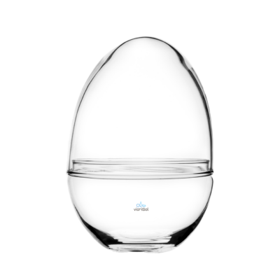 Terrario Cápsula 23x15 cm