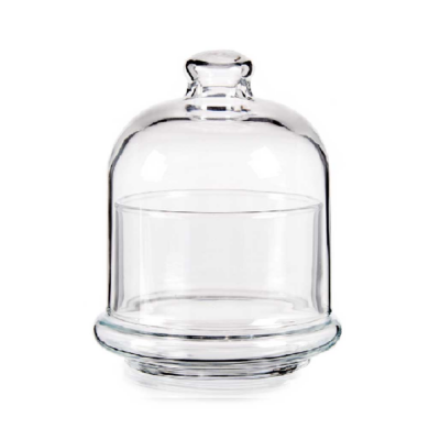 TERRARIO CUPULA 14x11,5 cm