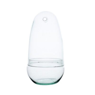 Terrario Cúpula 26x12 cm - con agujero