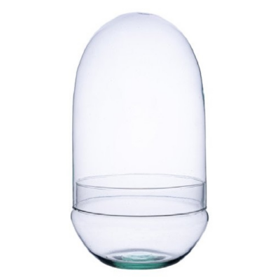 Terrario Cúpula 38x19 cm-  sin agujero