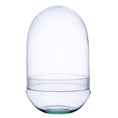 Terrario Cúpula 38x25 cm- sin agujero