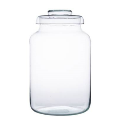 Terrario BUKIT 27 cm con Tapa de Vidrio