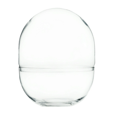 Terrario CÁPSULA 33x26(1)