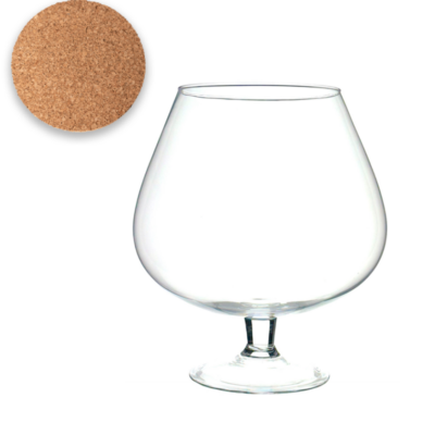 Terrario COPA 25 cm- Tapa Corcho