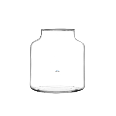 Terrario Florero Speedy 20 cm