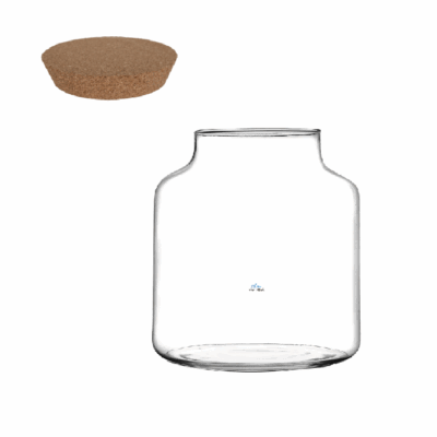 Terrario Florero Speedy 20 cm-Tapa Corcho