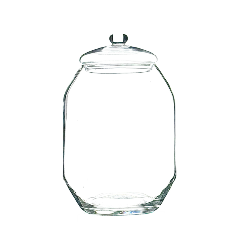 Terrario NIKKO 25 cm- tapa vidrio