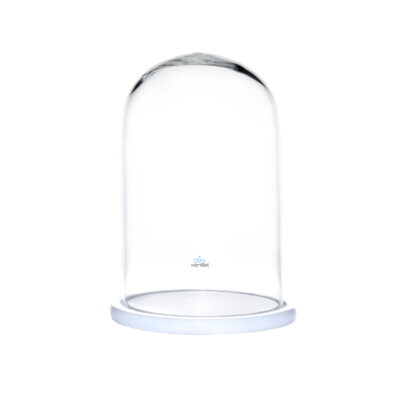 Cúpula 25x15 con Base Madera Blanca